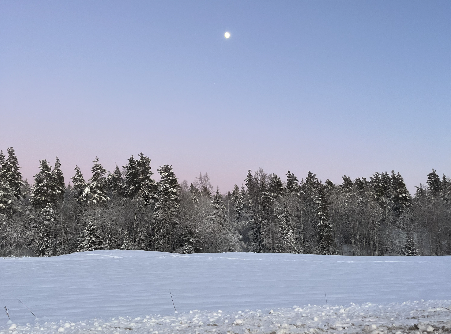 Fullmåne og søvn Derfor sover du dårligere